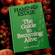 A green bookcover that reads, 'The Guide To Becoming Alive'. 