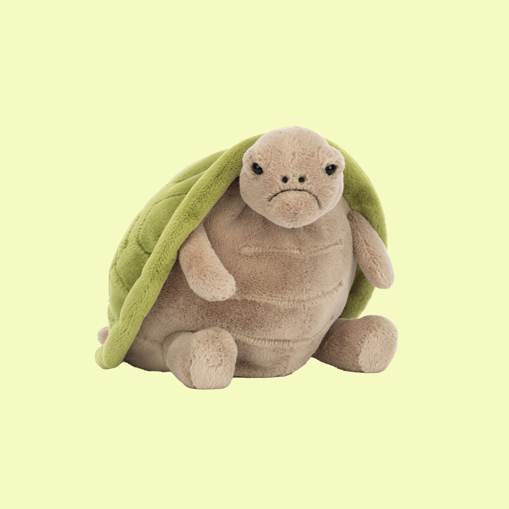 A turtle shaped stuffed animal with a frowning embroidered face and hard eyes. 