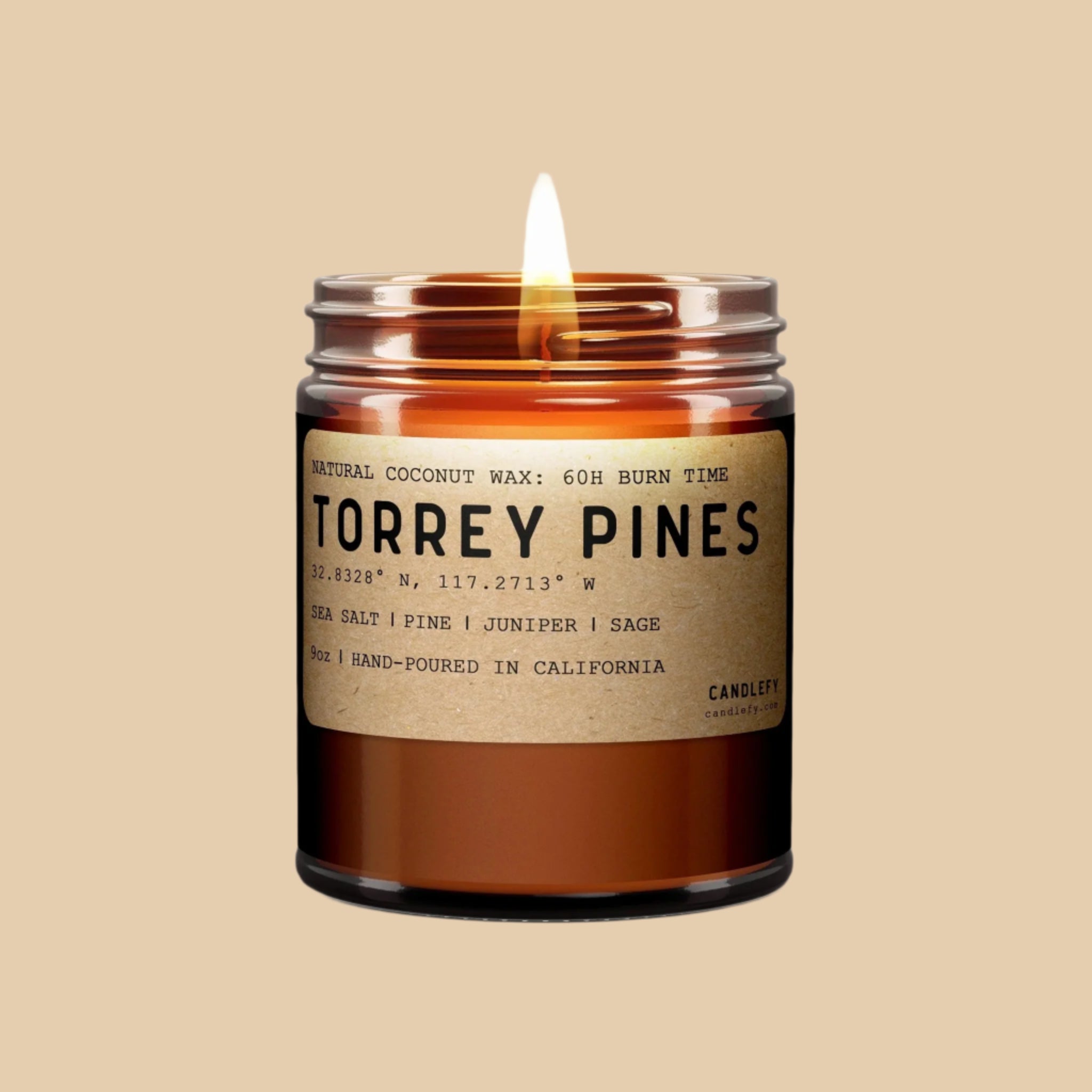 On a tan background is a brown glass jar candle with a neutral label that reads, &quot;Torrey Pines&quot;.