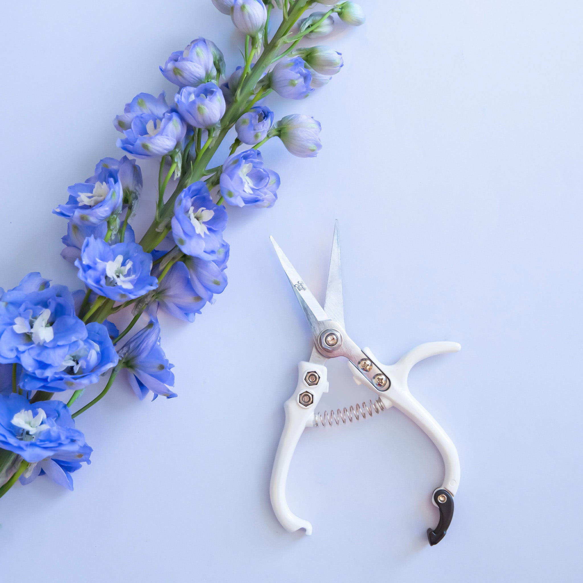 Pair of pruning shears with white handles and metal blades. The outer blade reads 'jungle club' in small, playful lettering. The pruning shears have a black clasp at the top of the handles to secure them closed.