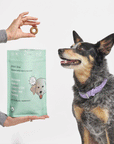 On a white background is a dog next to person holding a donut shaped dog treat in a mint bag. 