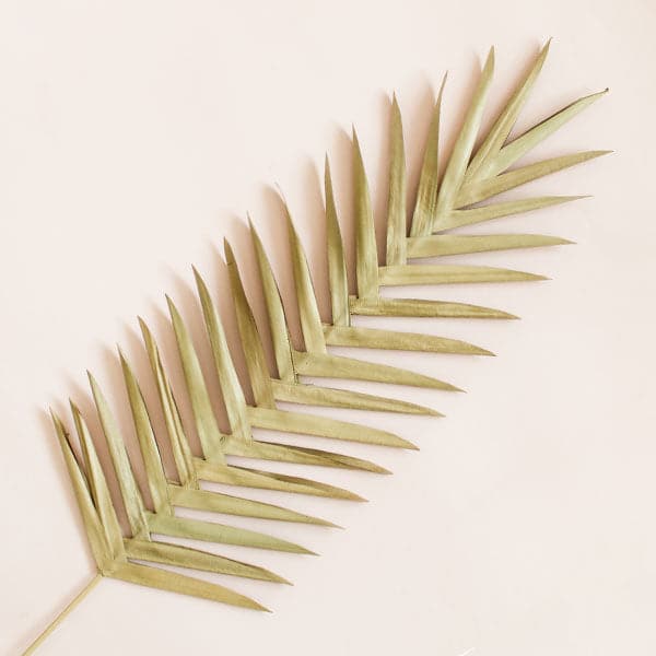 On a light pink background is a dried buri palm picks.