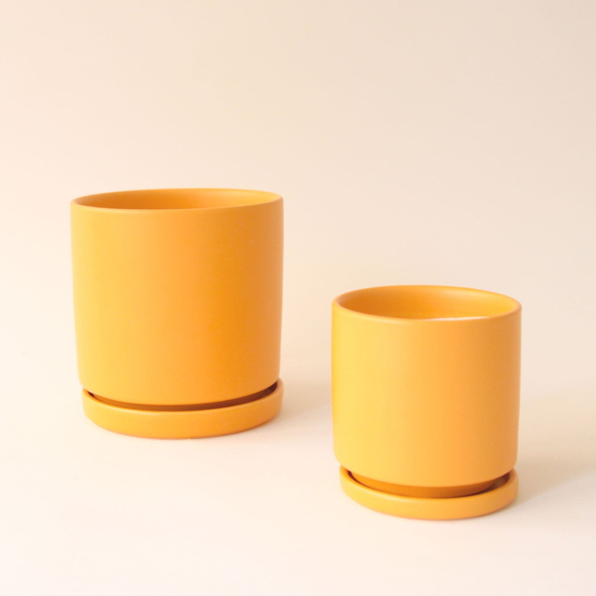 On a cream background is two different sized yellow ceramic pots with removable trays for watering.