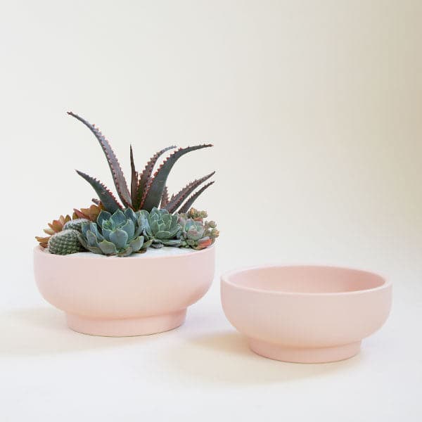 A pair of two ballerina pink pedestal bowls, both with tapered bases. To the left is the larger of the pair filled with an artfully full succulent and cacti planting. The bowl to the right is slightly shorter and sits empty.