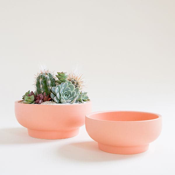 A pair of two salmon pink pedestal bowls, both with tapered bases. To the left is the larger of the pair filled with an artfully full succulent and cacti planting. The bowl to the right is slightly shorter and sits empty.