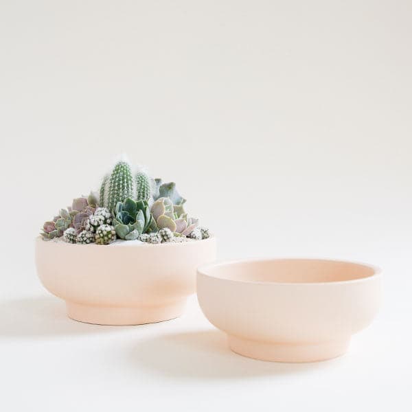 A pair of two pale ivory pedestal bowls, both with tapered bases. To the left is the larger of the pair filled with an artfully full succulent and cacti planting. The bowl to the right is slightly shorter and sits empty. 