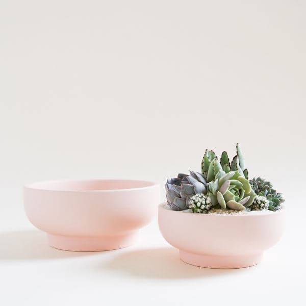 A pair of two ballerina pink pedestal bowls, both with tapered bases. To the left is the larger of the pair that sits empty. The bowl to the right is slightly shorter and sits filled with a delicate cacti and succulent planting.