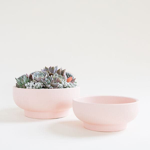 A pair of two ballerina pink pedestal bowls, both with tapered bases. To the left is the larger of the pair filled with an artfully full succulent and cacti planting. The bowl to the right is slightly shorter and sits empty.