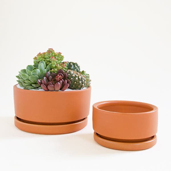 Two terracotta orange low bowl planting pots, both complete with water trays. The bowl to the left is larger and filled with a succulent arrangement, while the bowl to the right sits empty.