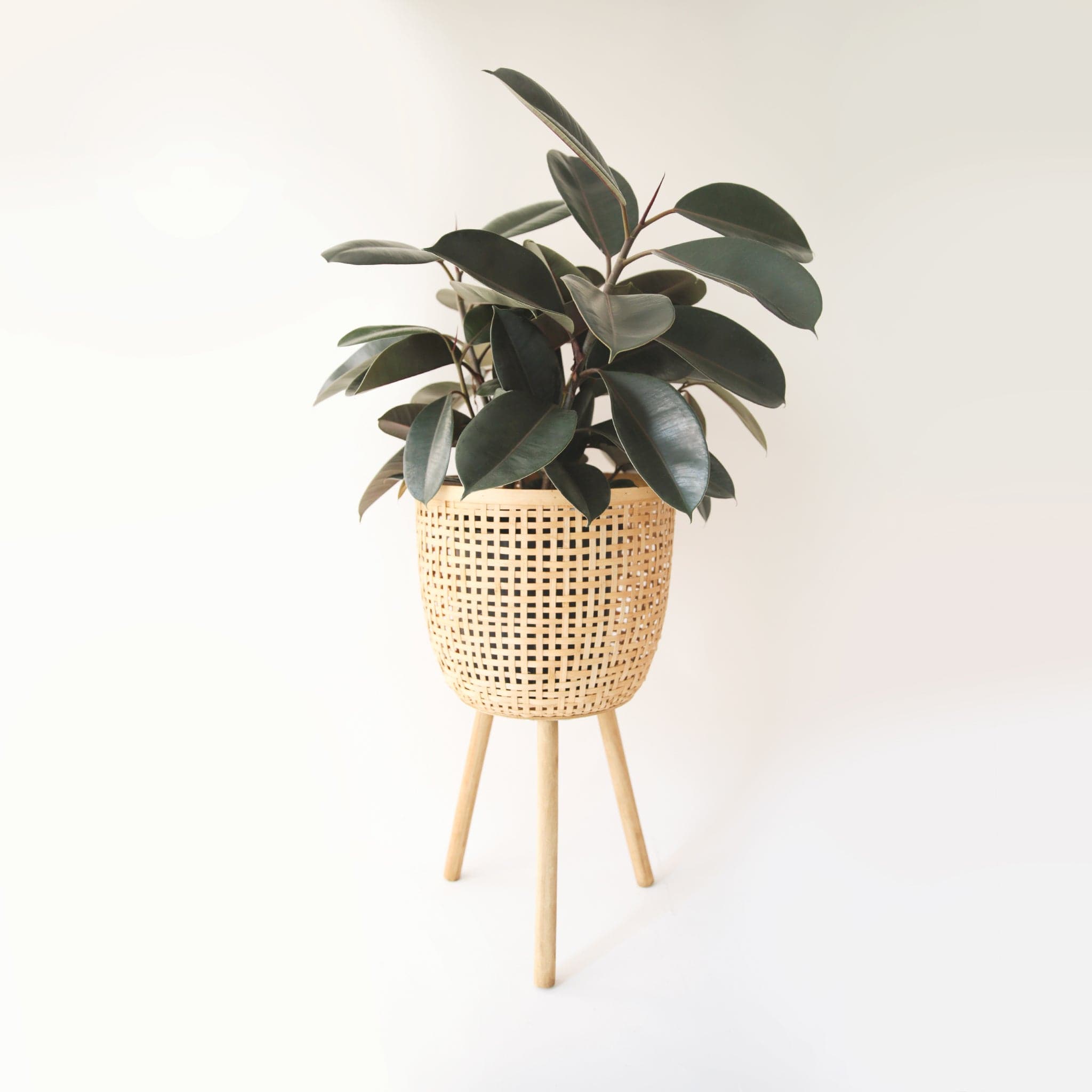 Three different sized, light colored rattan basket plant holders, each standing on three wooden legs. Each basket sold separately.