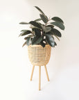 Three different sized, light colored rattan basket plant holders, each standing on three wooden legs. Each basket sold separately.