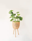 Three different sized, light colored rattan basket plant holders, each standing on three wooden legs. Each basket sold separately.