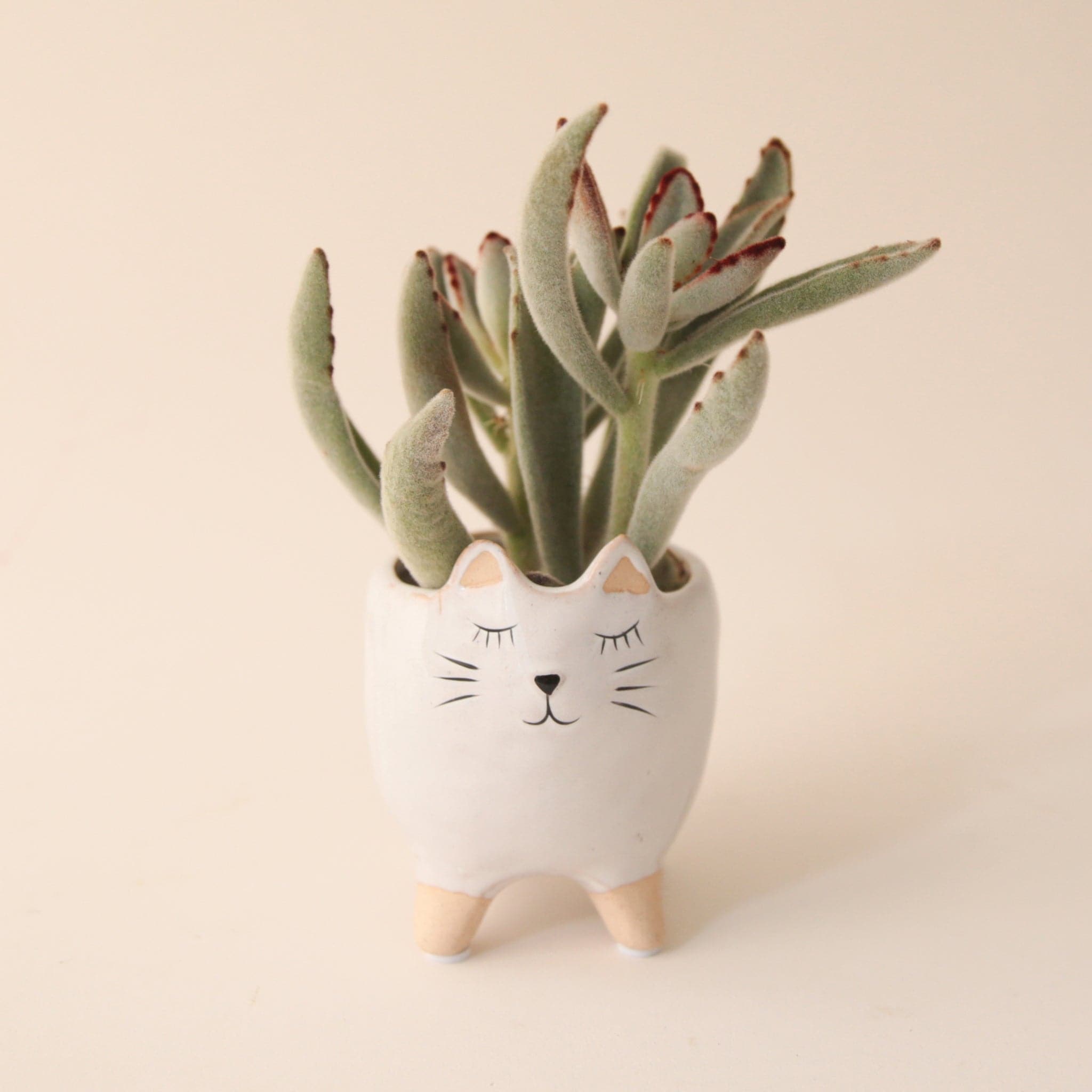 a small white planter shaped as a cat with a painted cat vase. vase is holding a soft green succulent.