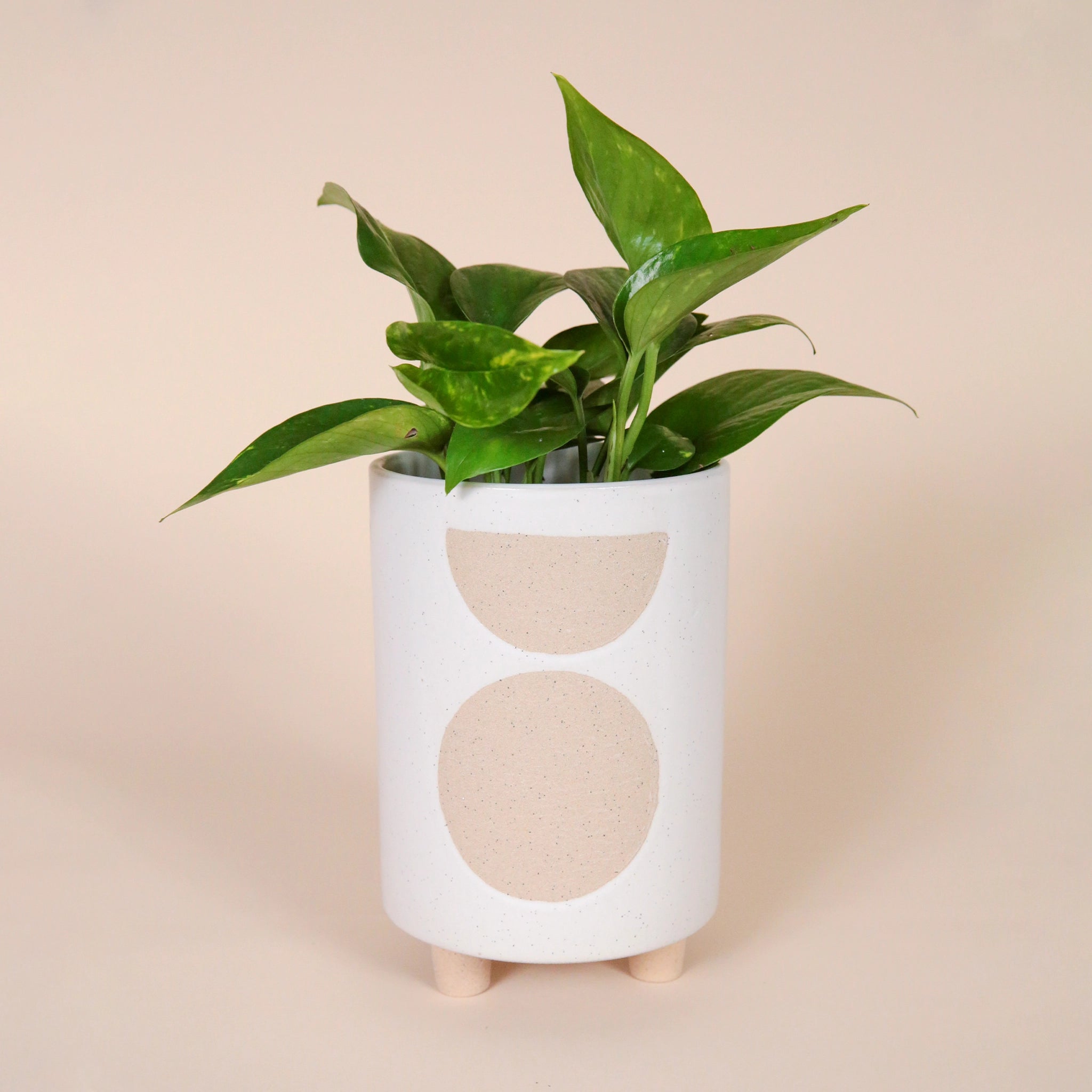 A white ceramic cylinder planter with three small feet on the bottom that elevates it slightly along with a tan circle and half circle design on the front. It's photographed here with a green leafy plant, not included with purchase.