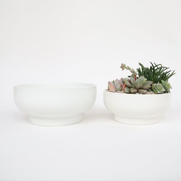 In front of a white background is a white pedestal bowl. The bowl is wide with a short pedestal bottom. Inside the bowl is a succulent and cacti arrangement. To the left is a larger, empty pedestal bowl. 