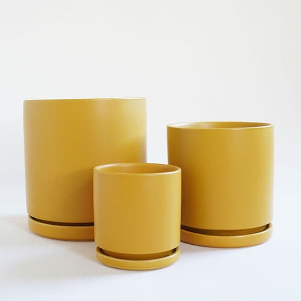 On a cream background is three different sized ceramic pots with removable water trays.