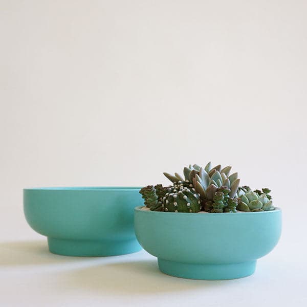 In front of a white background is two bright blue pedestal bowls. Both bowls have a short and wide bowl with a pedestal bottom. The bowl in the front has a succulent and cacti arrangement inside. The bowl in the back is empty. 