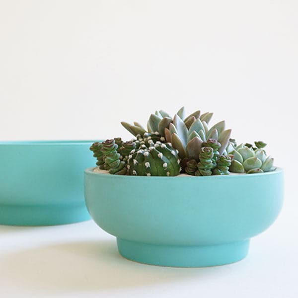 In front of a white background is two bright blue pedestal bowls. Both bowls have a short and wide bowl with a pedestal bottom. The bowl in the front has a succulent and cacti arrangement inside. The bowl in the back is empty. 