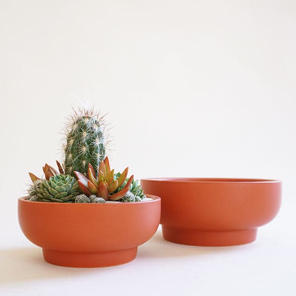 In front of a white background is a rust colored pedestal bowl. The bowl is wide with a short pedestal bottom. Inside the bowl is a succulent and cacti arrangement. Behind this bowl is an empty rust colored pedestal bowl.