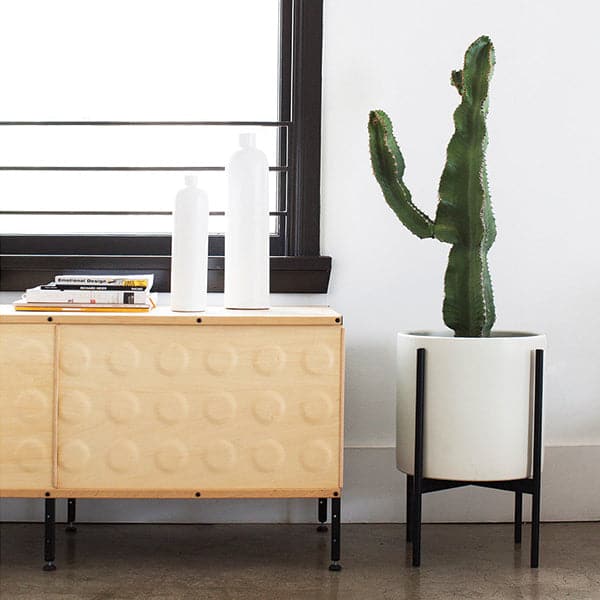 A standing saguaro cactus plant sits planted in one large white stoneware pot and walnut stand. Pot sits to the right of a neutral tan industrial-styled desk with modern books and white vases as decor. 