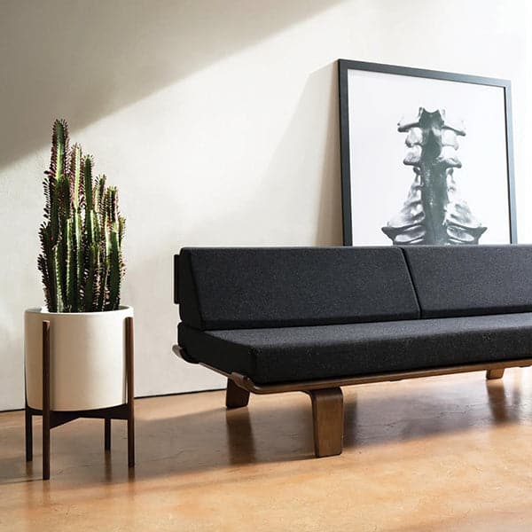 Bundle of cacti planted in one large white stoneware pot and walnut stand. Pot sits to the left of a minimal and modern black cushioned couch. Behind sits an abstract black and white framed painting. 