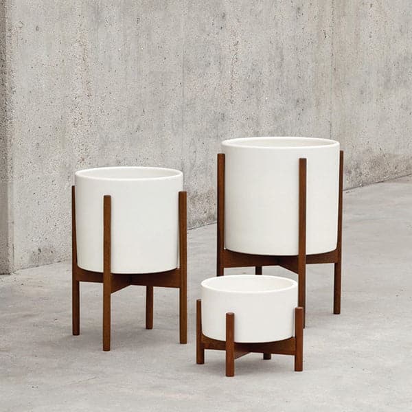 Three white stoneware ceramic pots each sit on their own walnut wooden stand. Each pot and stand have a similar modern design but different staggered heights. Th pots lay against an urban cement background. 