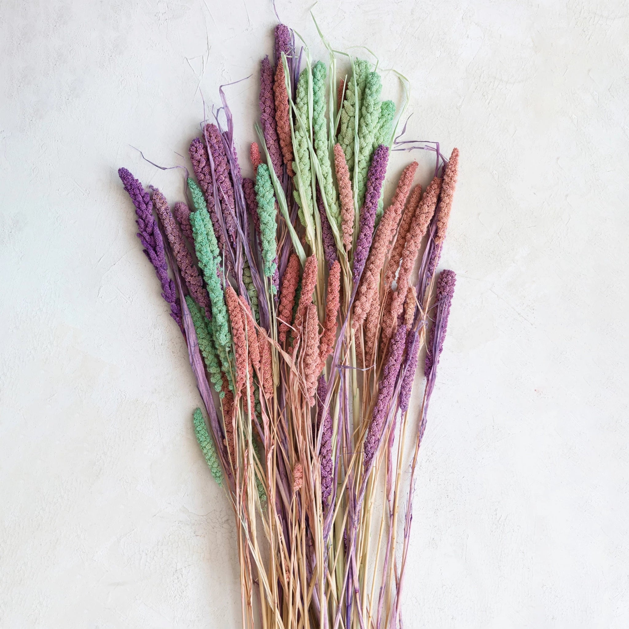 A bundle of dried foxtail florals in a pink shade photographed with other shades of dried foxtails. 