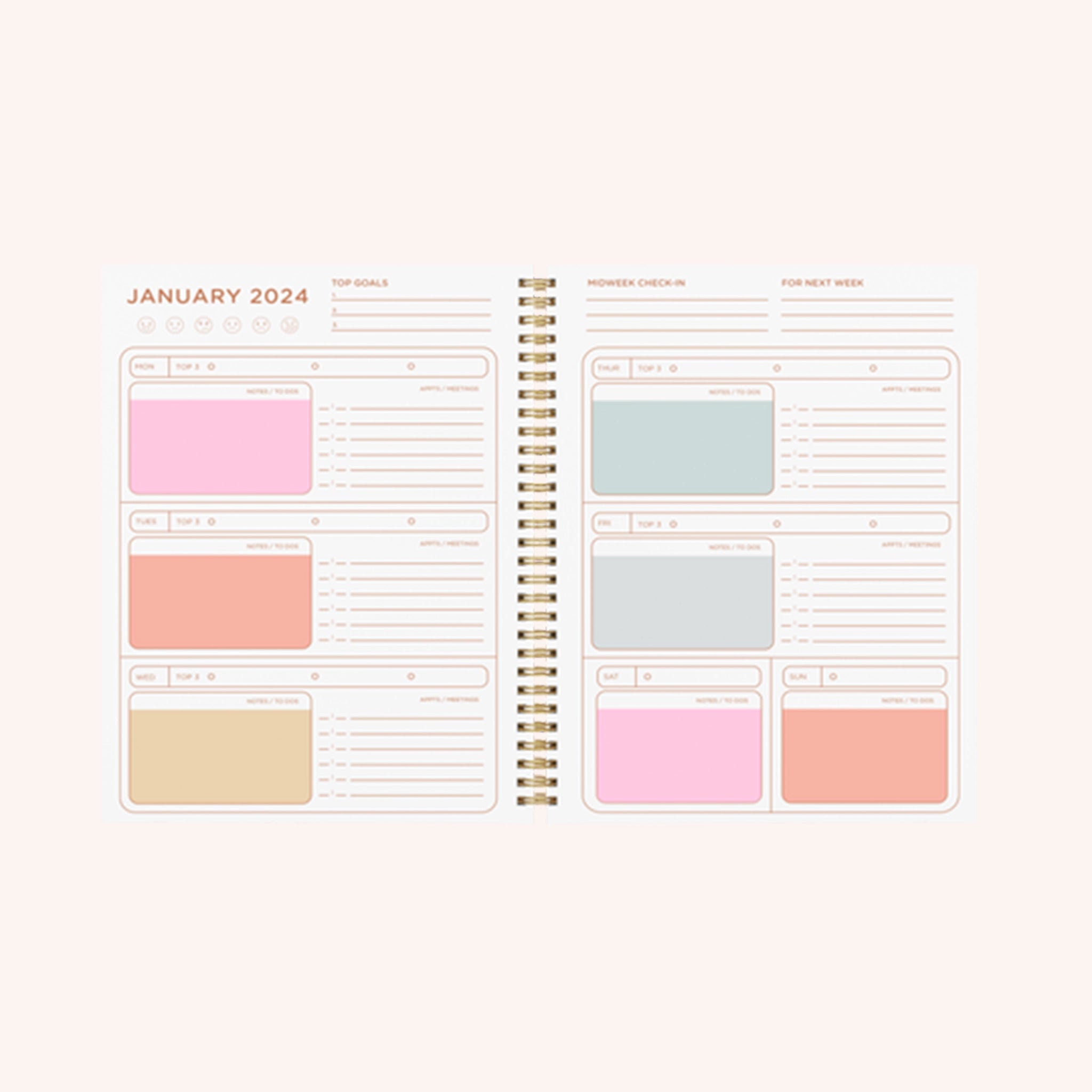 Photographed on a white background is the planner opened to different pages showing the weekly and daily overviews that are colorfully coordinated.